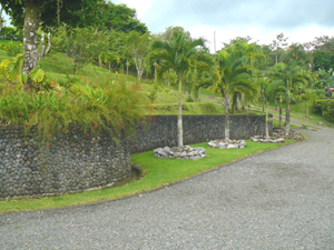 From the owner's home, the drive to the top skirts beautifull landscaped terraces.